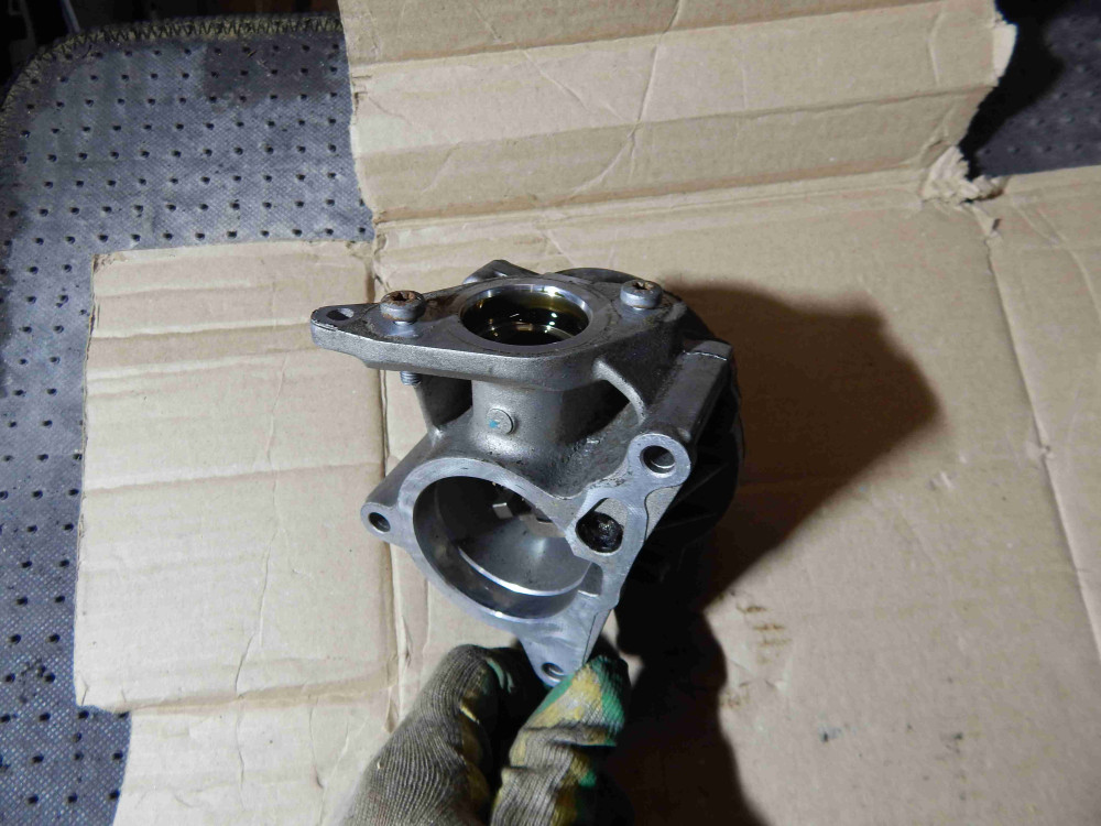 Image Content Service