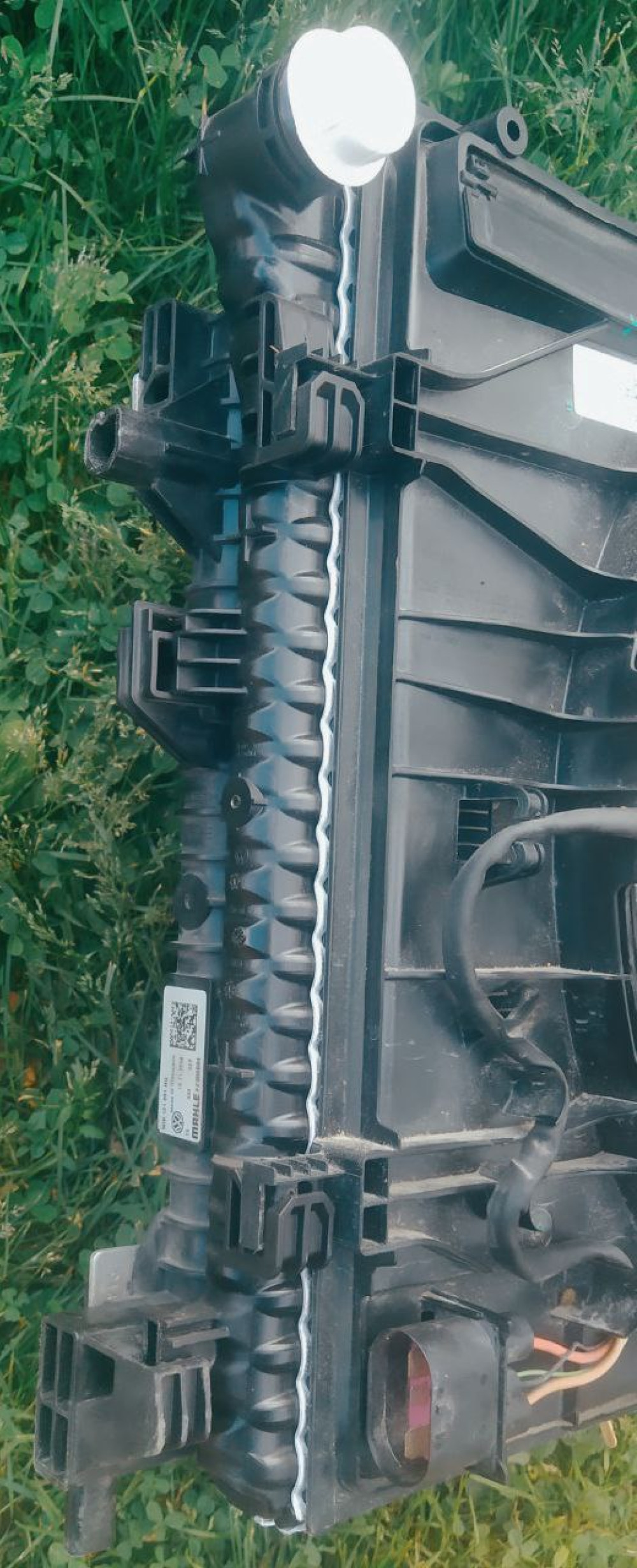 Image Content Service