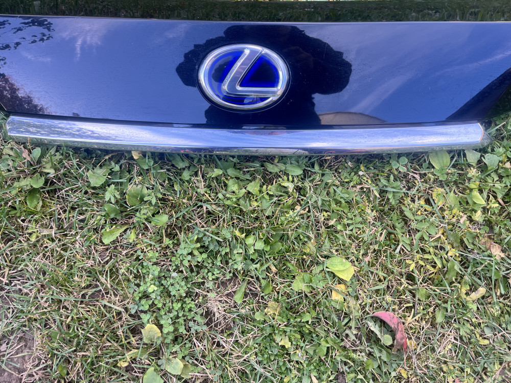 Image Content Service