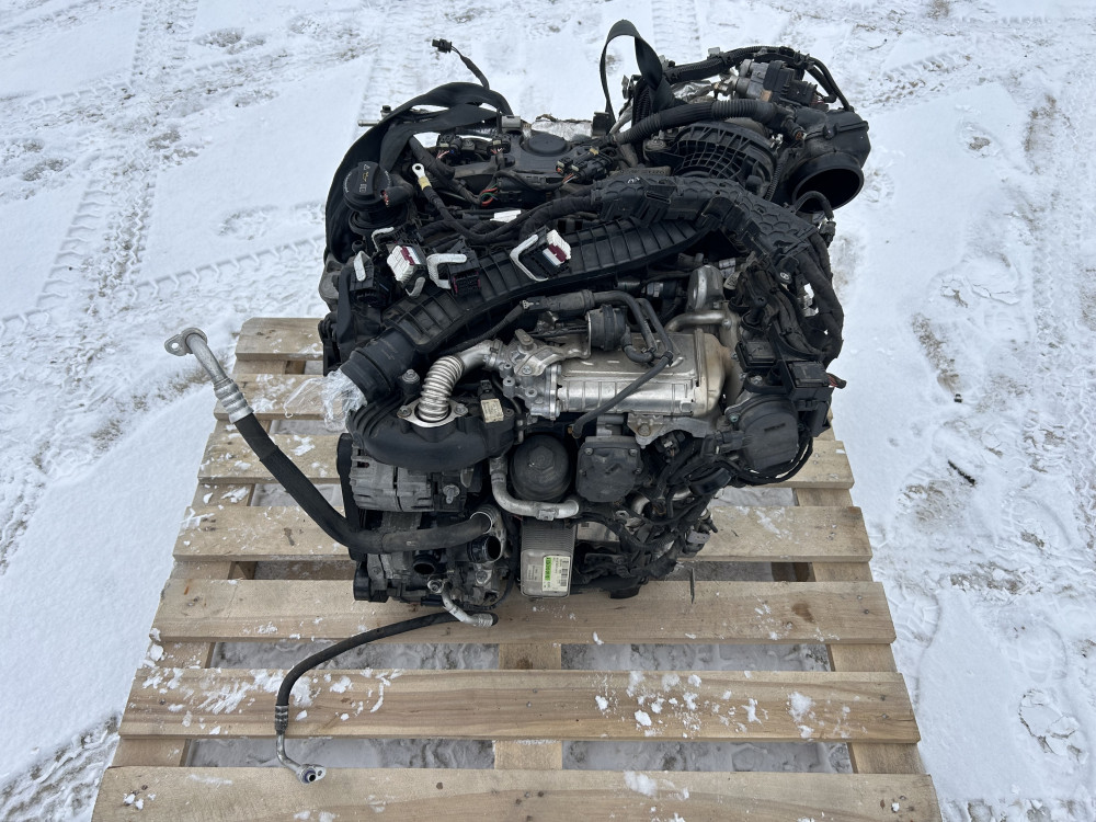 Image Content Service