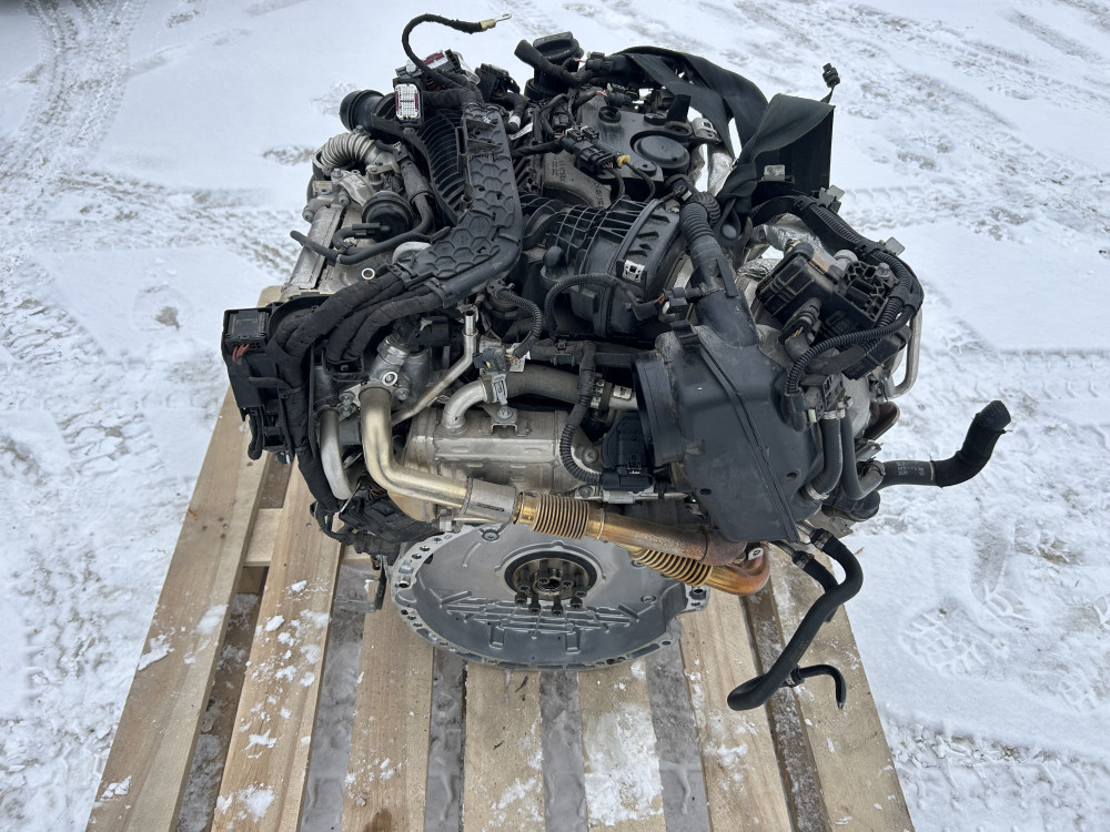 Image Content Service