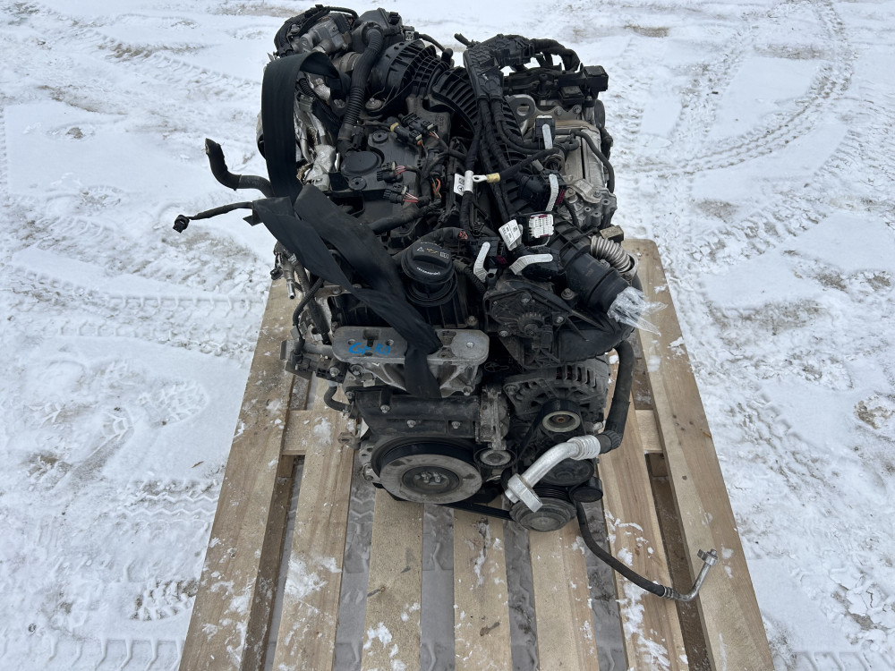 Image Content Service