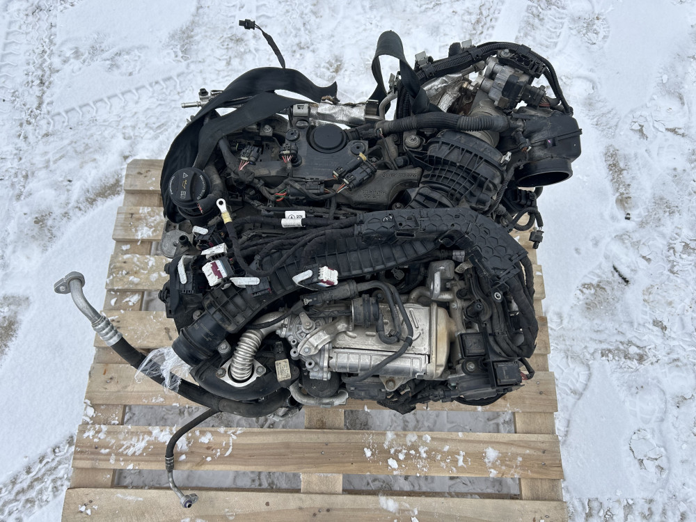 Image Content Service