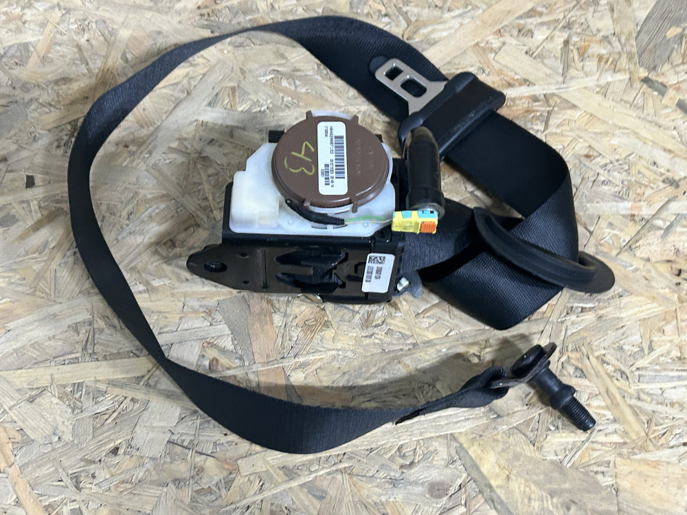 Image Content Service