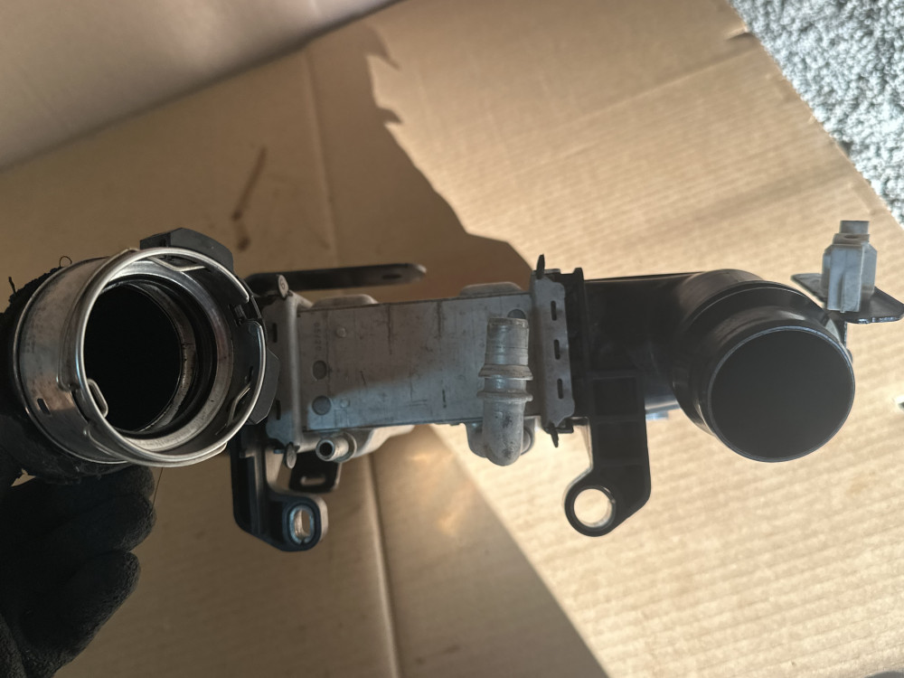 Image Content Service