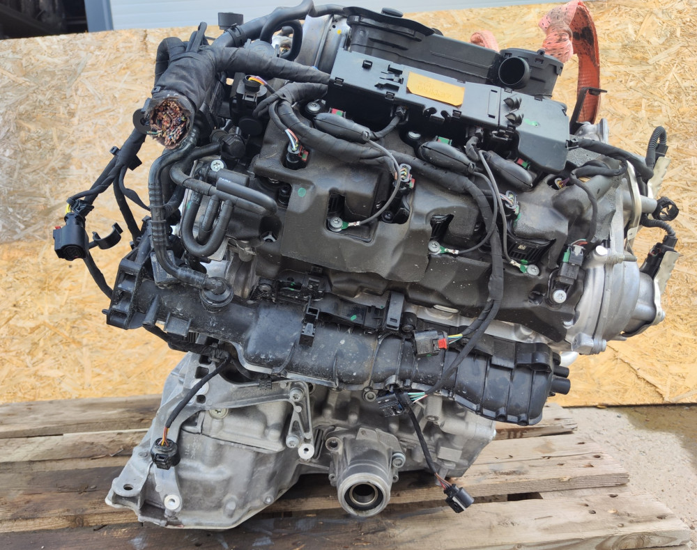 Image Content Service