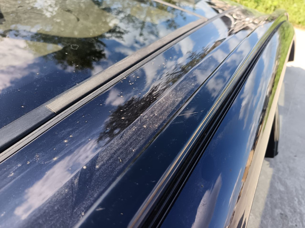 Image Content Service